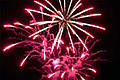 Feuerwerk zum Jahresanfang